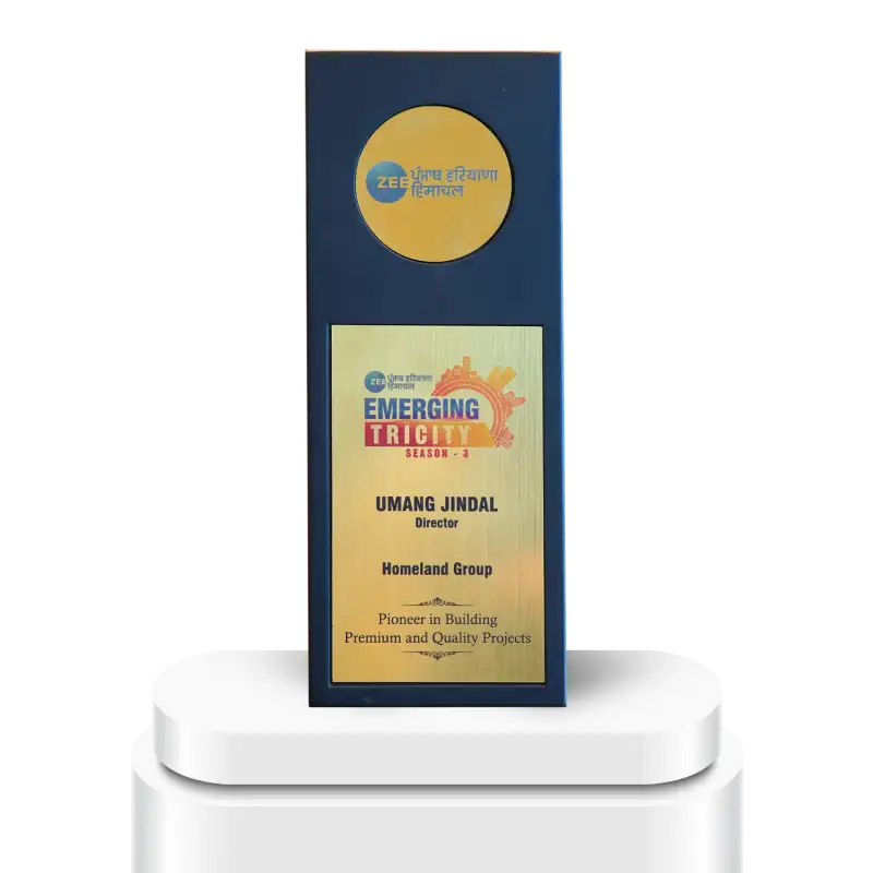 Homeland group award
